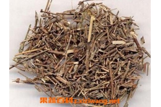 苦李根的作用与功效 苦李根的药用价值