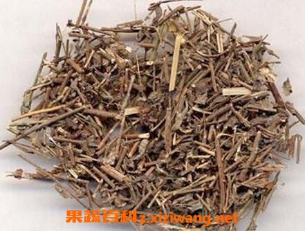 苦李根的作用与功效