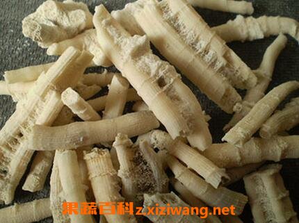 煅鹅管石的功效与作用