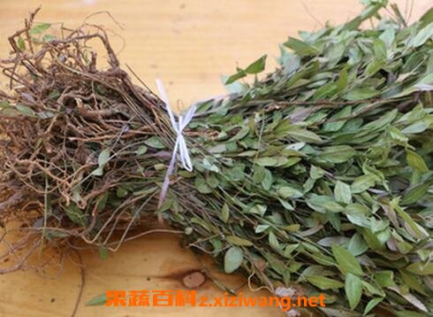 勒马回的功效
