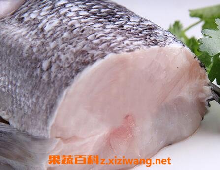 蓝鱈鱼的功效和作用