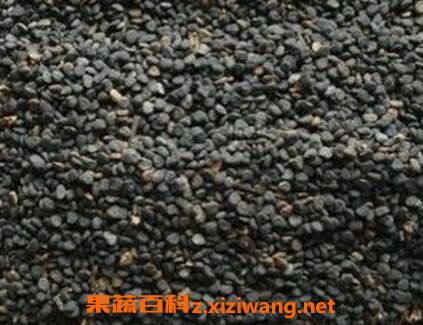 白曼陀罗果子的功效