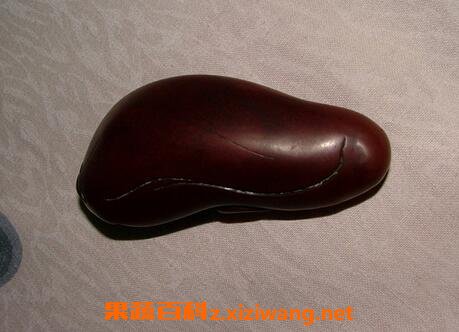 木鱼石的4大功效与作用