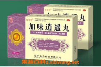 加味逍遥丸的功效与作用