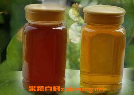 不会腐烂变质的食物介绍