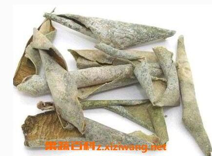 中药冬瓜皮的功效与作用及禁忌