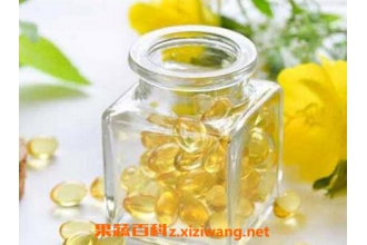 报春花油的功效与作用
