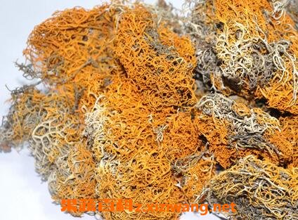 西藏雪茶有副作用吗 西藏雪茶的副作用介绍