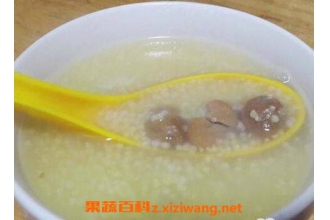 板栗小米粥的功效与做法步骤