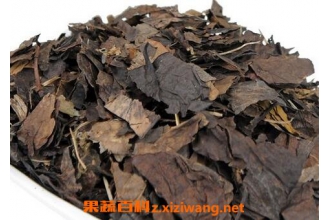 鹿含草的功效 鹿含草的食用方法