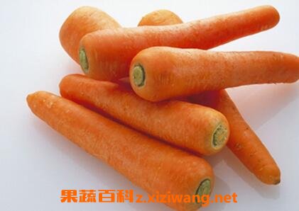 胡萝卜怎么吃最有营养 胡萝卜怎么吃最好