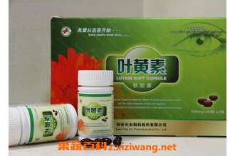 叶黄素的功效与作用