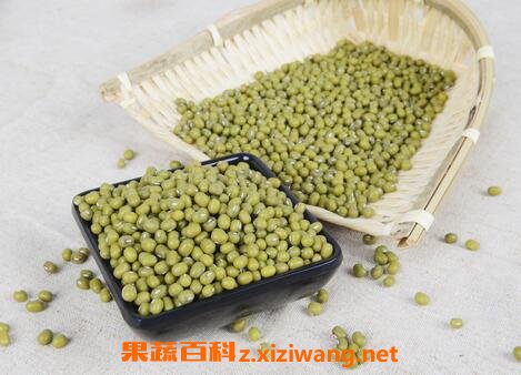 绿豆怎么煮容易烂 绿豆快速煮烂的方法