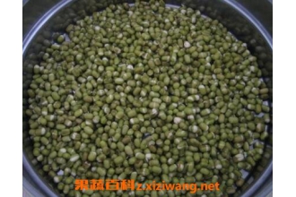 绿豆芽怎么发 绿豆芽的做法步骤教程