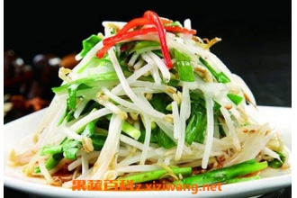 绿豆芽怎么做好吃 绿豆芽的做法步骤教程