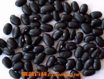 黑豆和黑芸豆的区别
