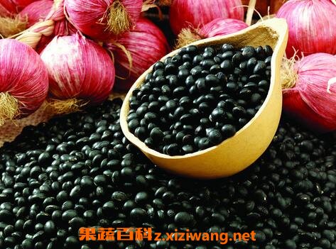 绿仁黑豆是转基因的吗 绿仁黑豆怎么做好吃