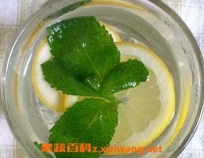 蜂蜜薄荷绿茶的功效与作用
