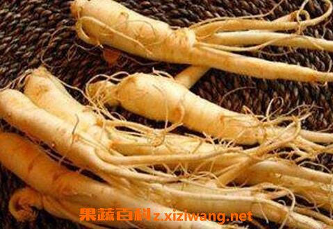 野参功效与作用