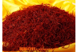 藏红花的功效与作用 藏红花的药用价值