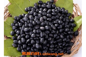 黑豆的功效与作用 黑豆的药用价值