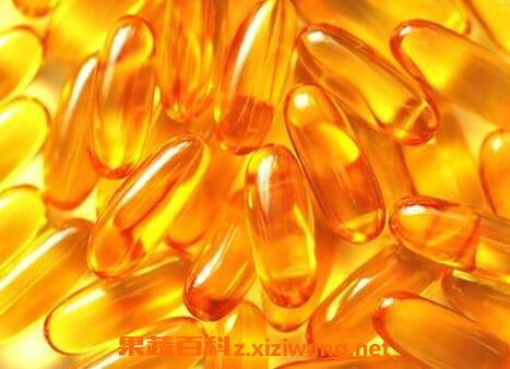 鱼肝油的功效与作用 鱼肝油的药用价值