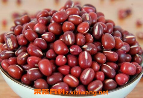 红豆的功效与作用 红豆的药用价值