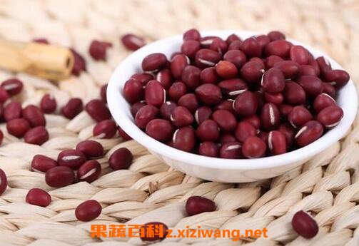 红豆的功效与作用 红豆的药用价值