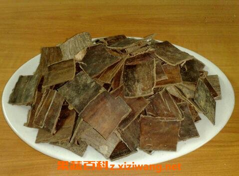 杜仲的功效与作用 杜仲的药用价值