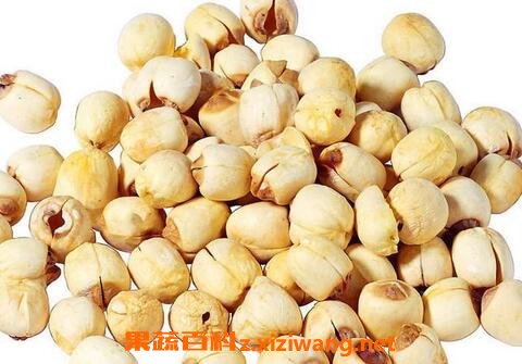 莲子的功效与作用 莲子的药用价值