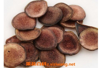 鹿茸的药用价值 鹿茸的功效与作用