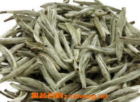 白茶的功效与作用 白茶的药用价值
