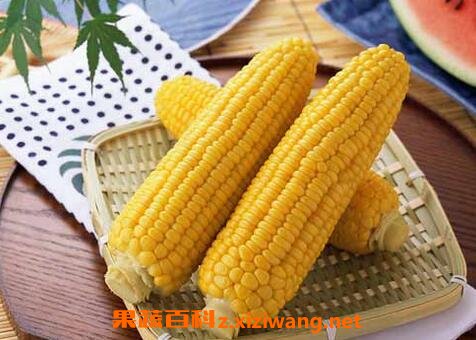 玉米的功效与作用 玉米的药用价值