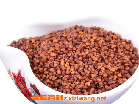 苦荞茶的功效与作用 苦荞茶的药用价值