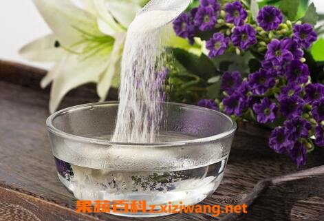 胶原蛋白的功效与作用 胶原蛋白的药用价值