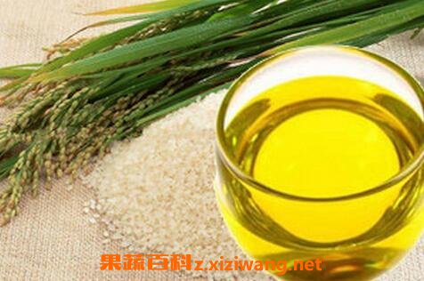 糠油的功效与作用