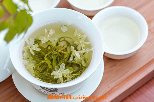 茉莉花茶