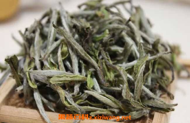 白茶