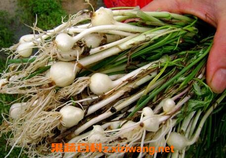 胡葱不能与什么同吃 胡葱和什么相克