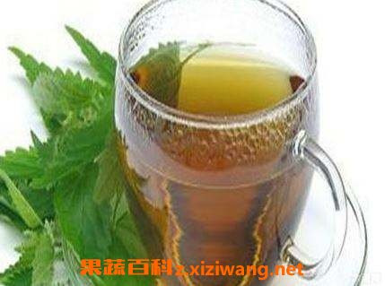 枇杷茶