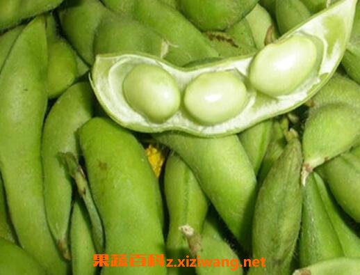 毛豆怎么煮 正确煮毛豆的步骤