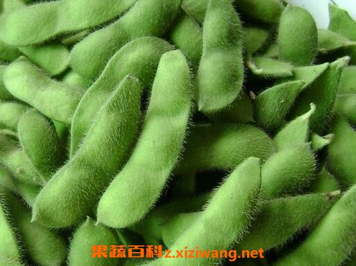 毛豆怎么煮 正确煮毛豆的步骤