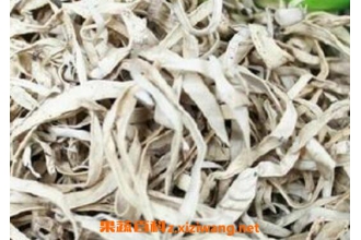 雪茶怎么泡 雪茶的泡法教程