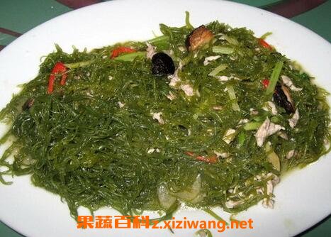海发菜的功效与作用及营养价值