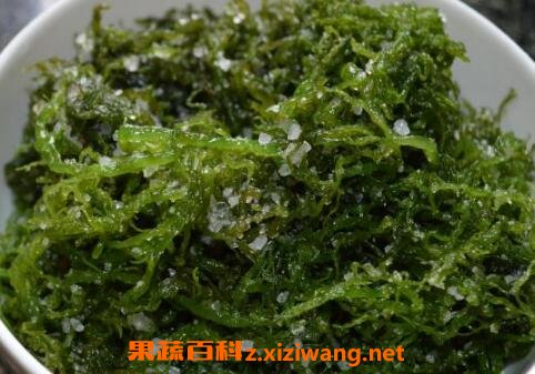 海发菜如何吃 海发菜的食用方法