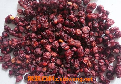 五味子怎么吃 五味子的功效与作用