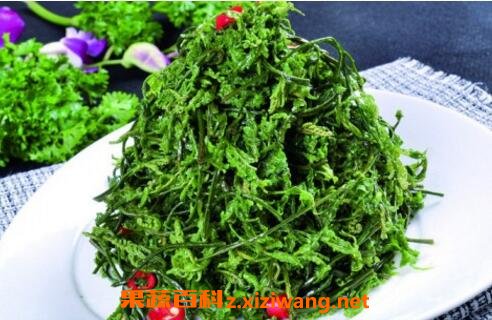 云龙菜的功效与作用