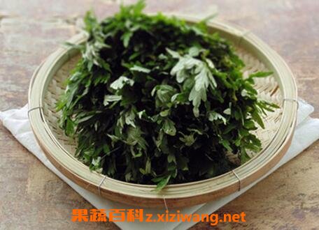 艾叶怎么治妇科病