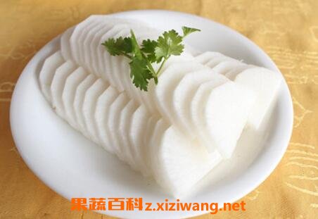 孕妇能吃白萝卜吗