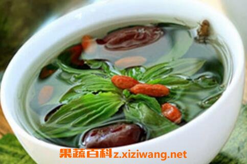 车前草怎么吃车前草的食用方法